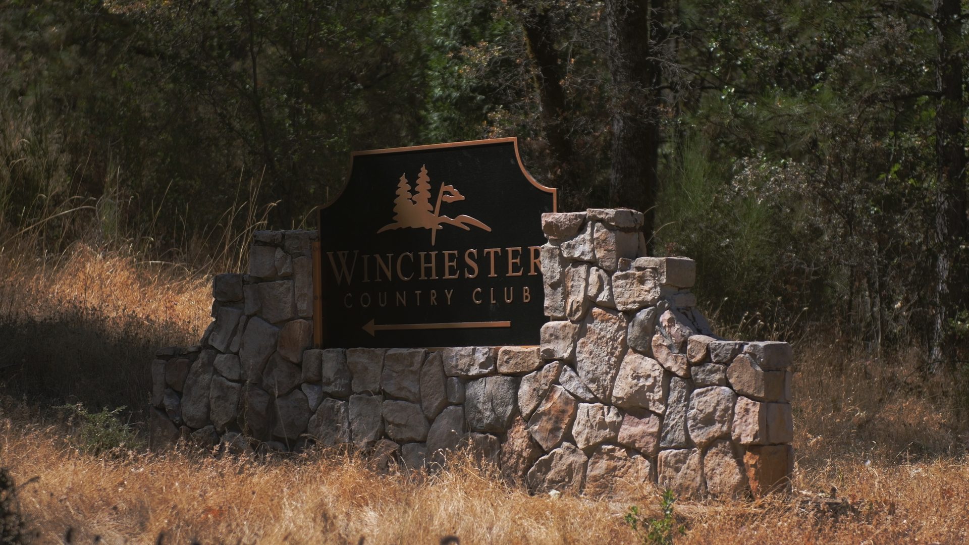 Aerial view of luxury home with stone terrace